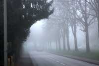 Meckelfelder Weg im Nebel