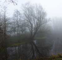 Rueckhaltebaecken am Meckelfelder Weg